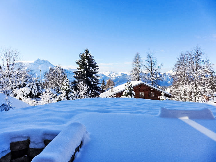 Slide8 - Chalet Petit Pont