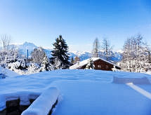 Vakantiehuis Chalet Petit Pont