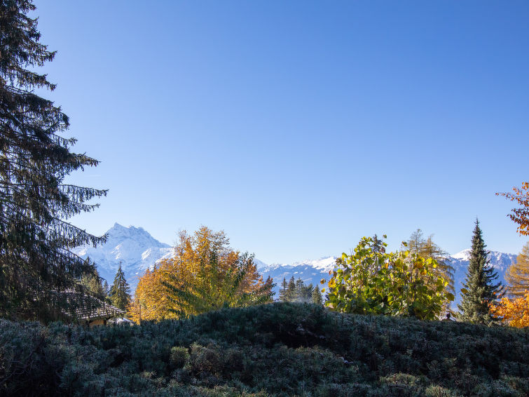 Photo of Chalet Le Haut Pré