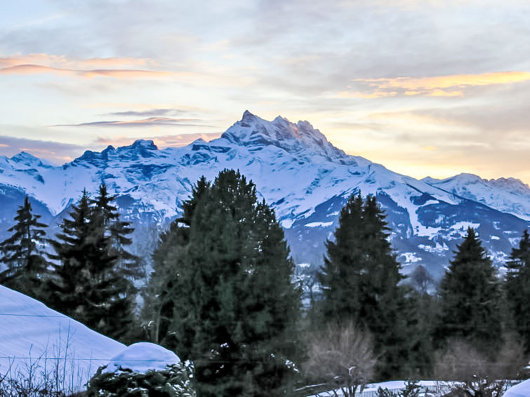 Chalet Merymont Chalet in Villars-Gryon