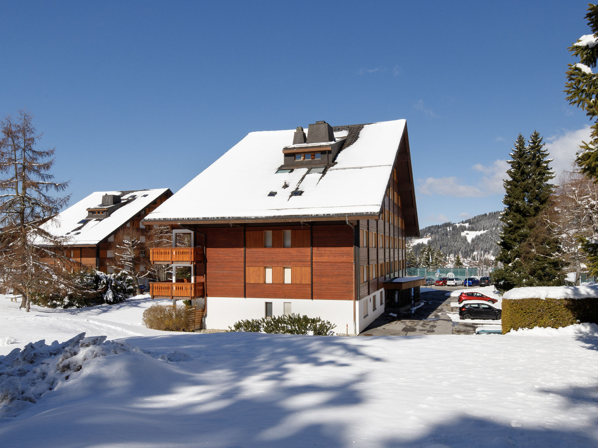Photo of Grenat 25