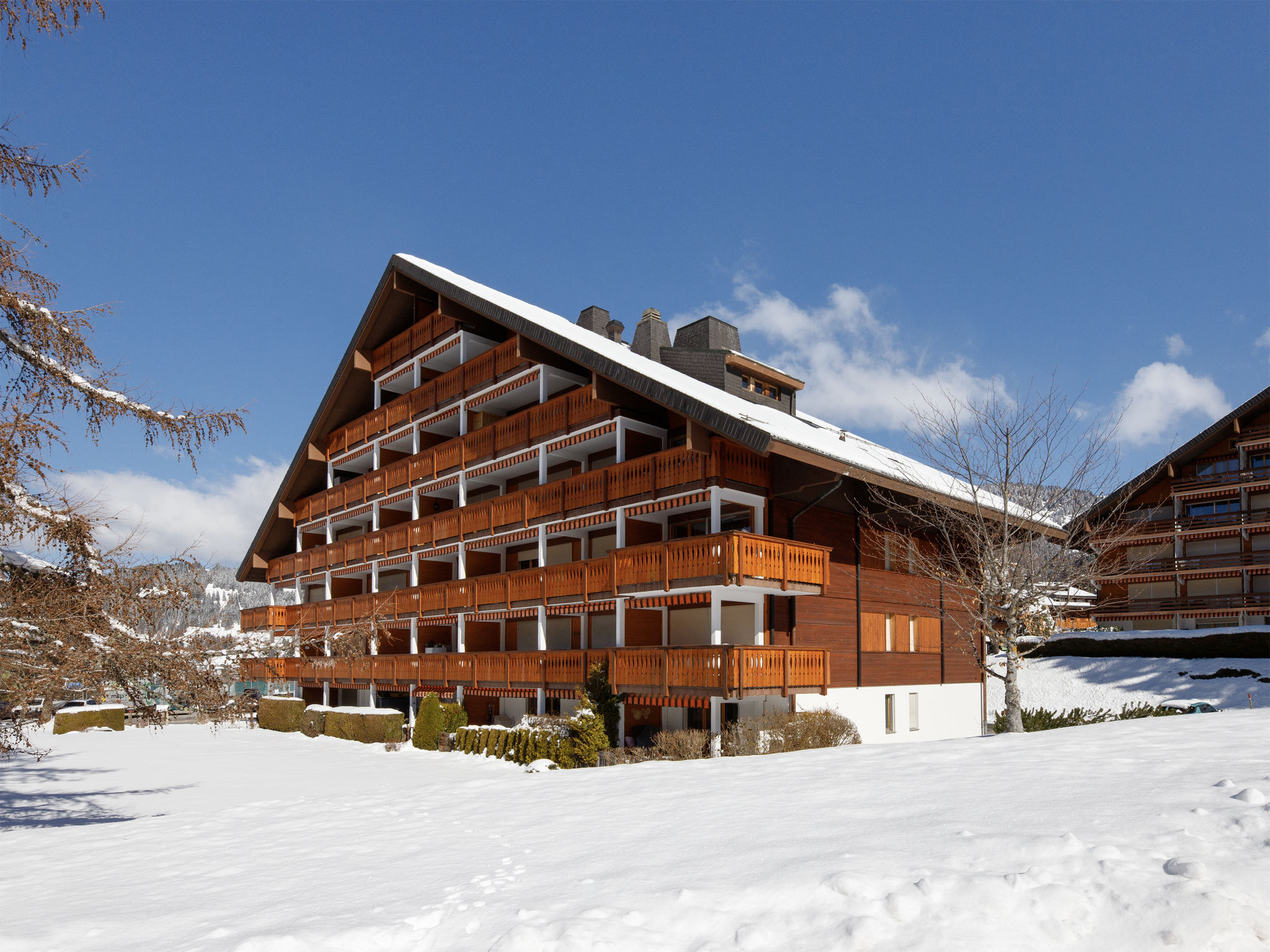 Photo of Grenat 25