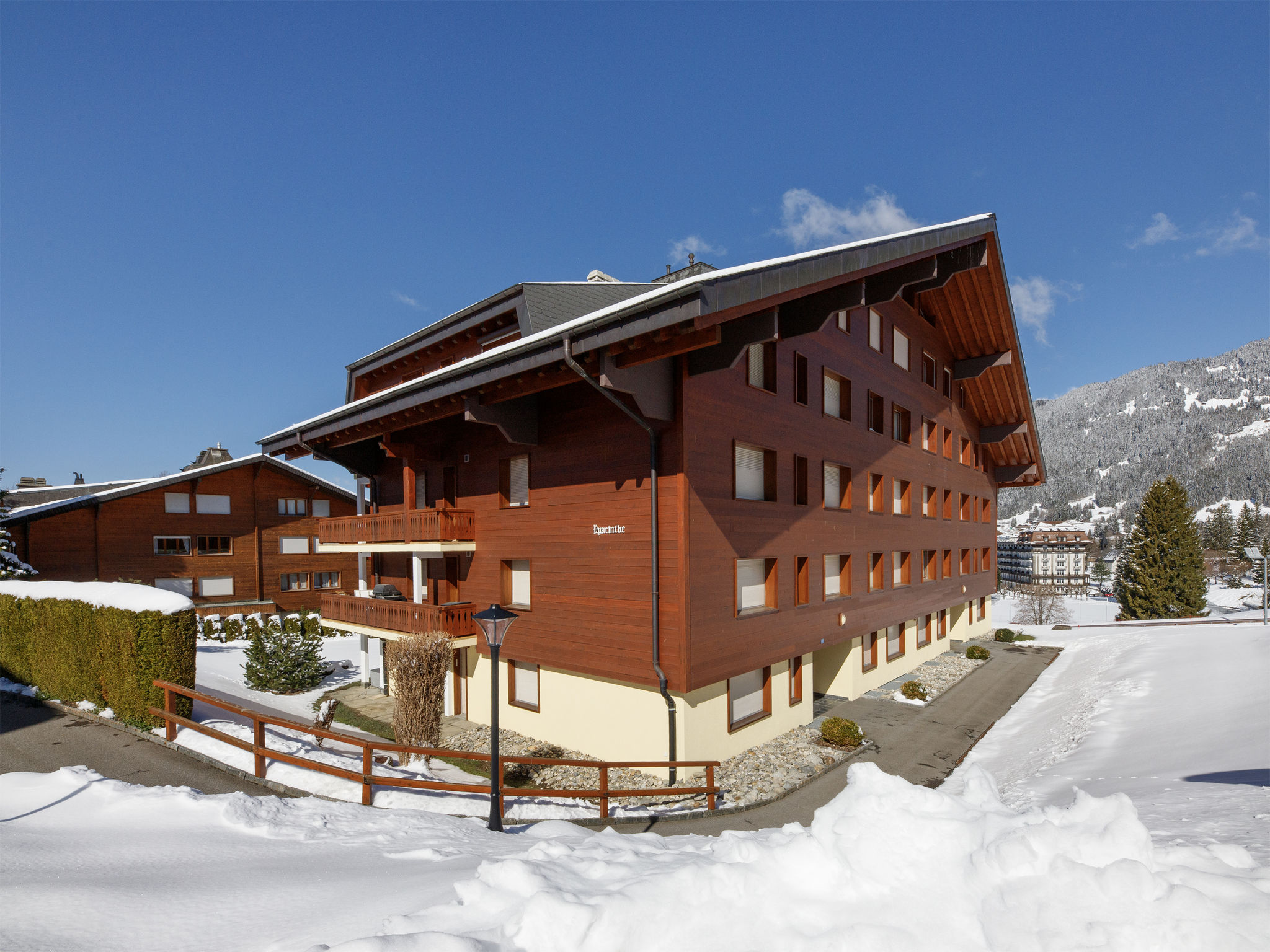Photo of Hyacinthe 11