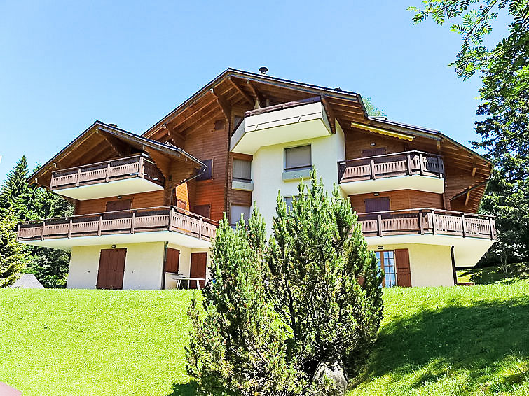 Le Miclivier B2 Accommodation in Villars-Gryon