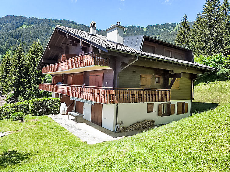 Le Bouquetin 1 Chalet in Villars-Gryon