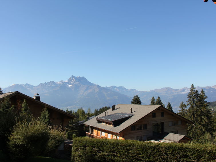 Photo of Le Bouquetin 1