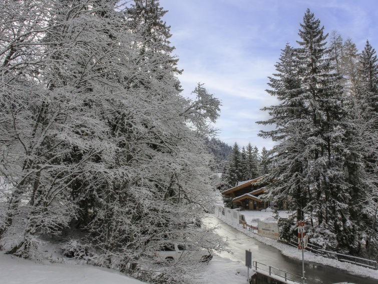 Photo of Muscardin 5/6