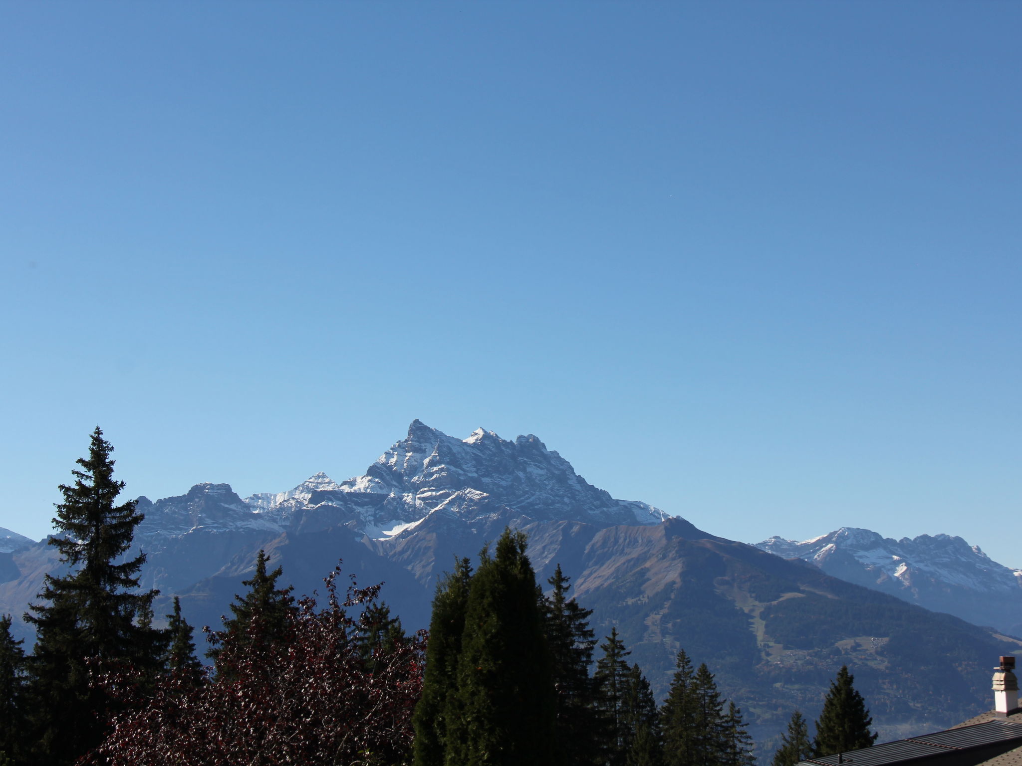 Photo of Rose des Vents 4