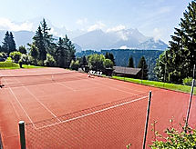 Ruim 8-persoons appartement met sauna en zwembad nabij de piste in Villars - thumbnail 5