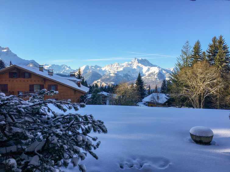 Aiguilles Dorées I/2 Chalet in Villars-Gryon