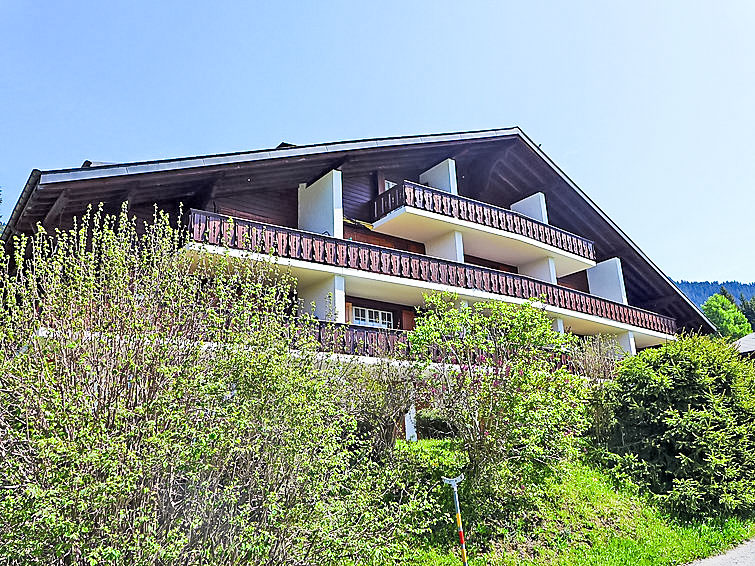 Photo of Le Mont Blanc 8