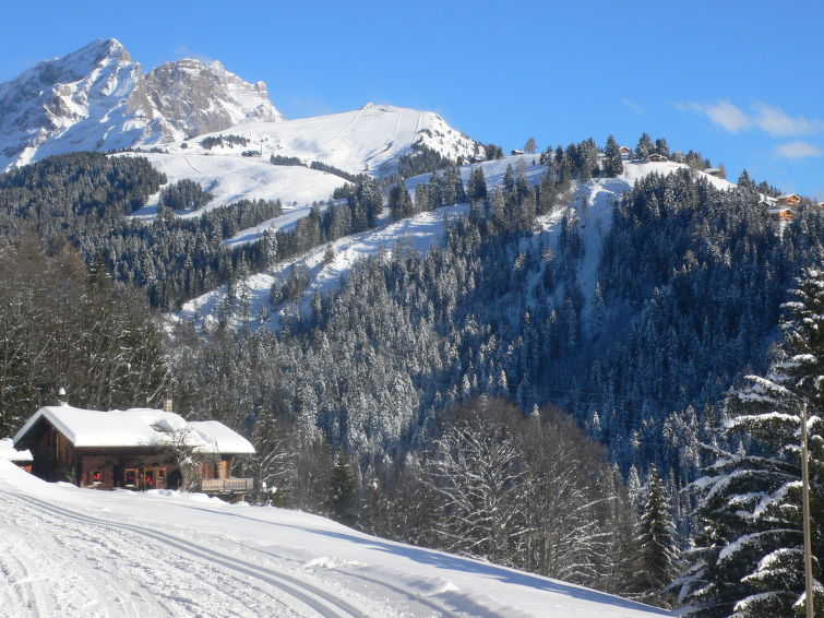 Le Mont Blanc 14 Chalet in Villars-Gryon