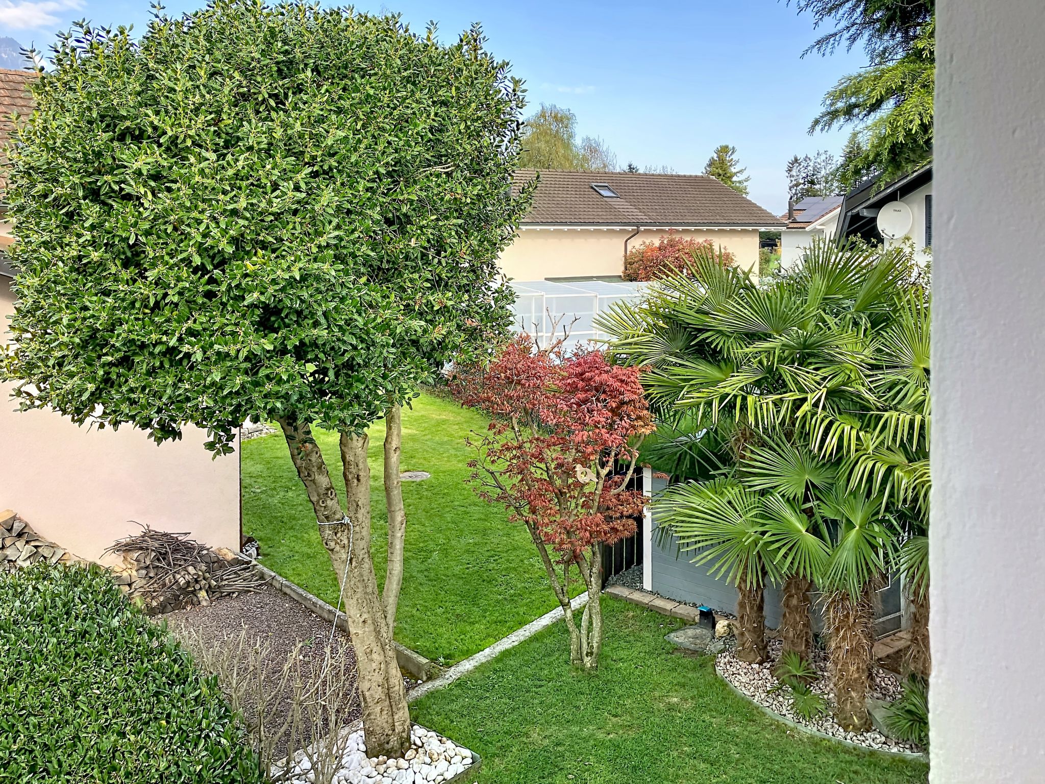 Photo of La Maison des Palmiers