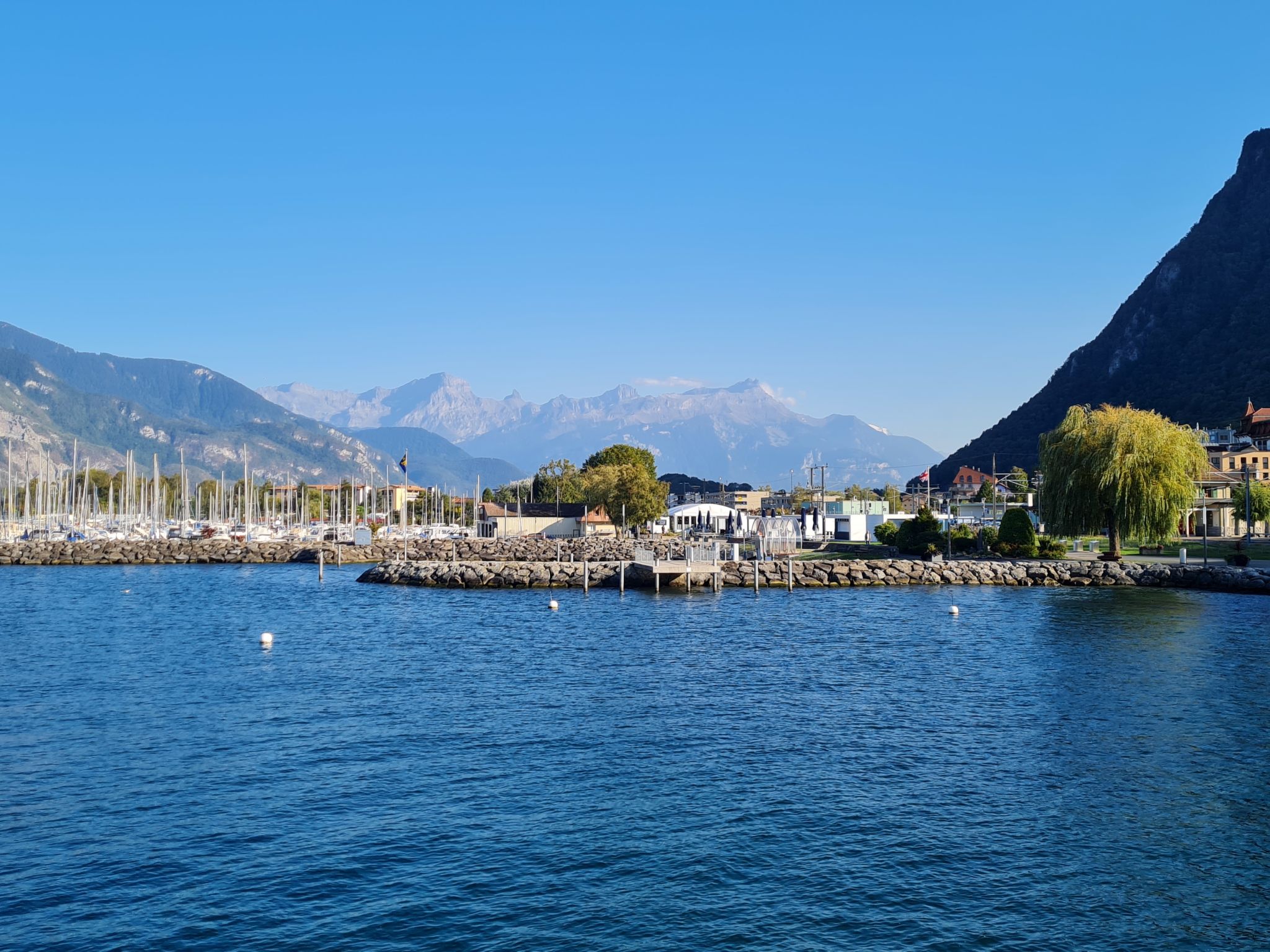 Photo of La Maison des Palmiers