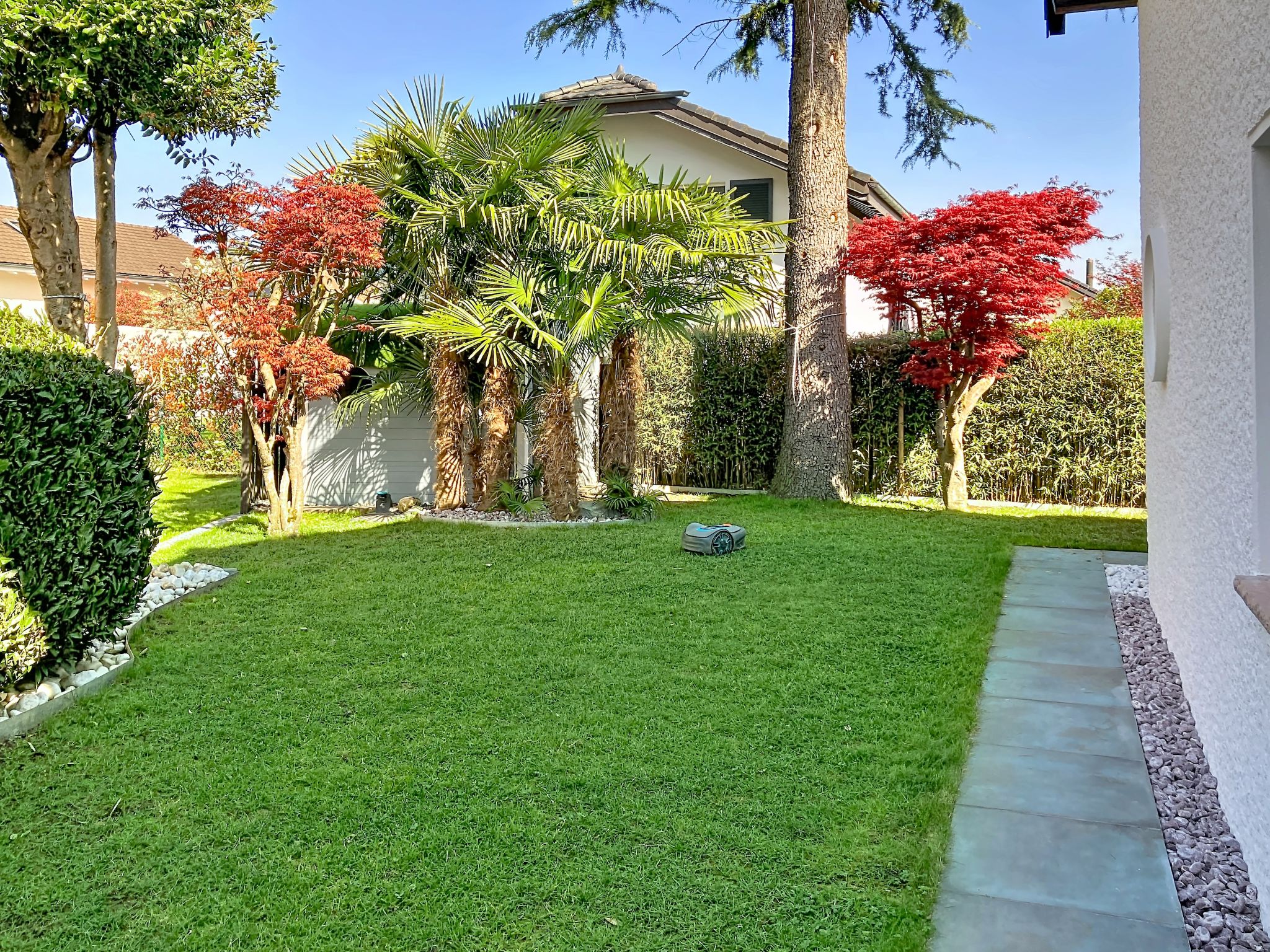 Photo of La Maison des Palmiers