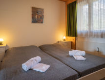 Ruim 6-persoons appartement aan de skipiste met open haard in Ovronnaz - thumbnail 5