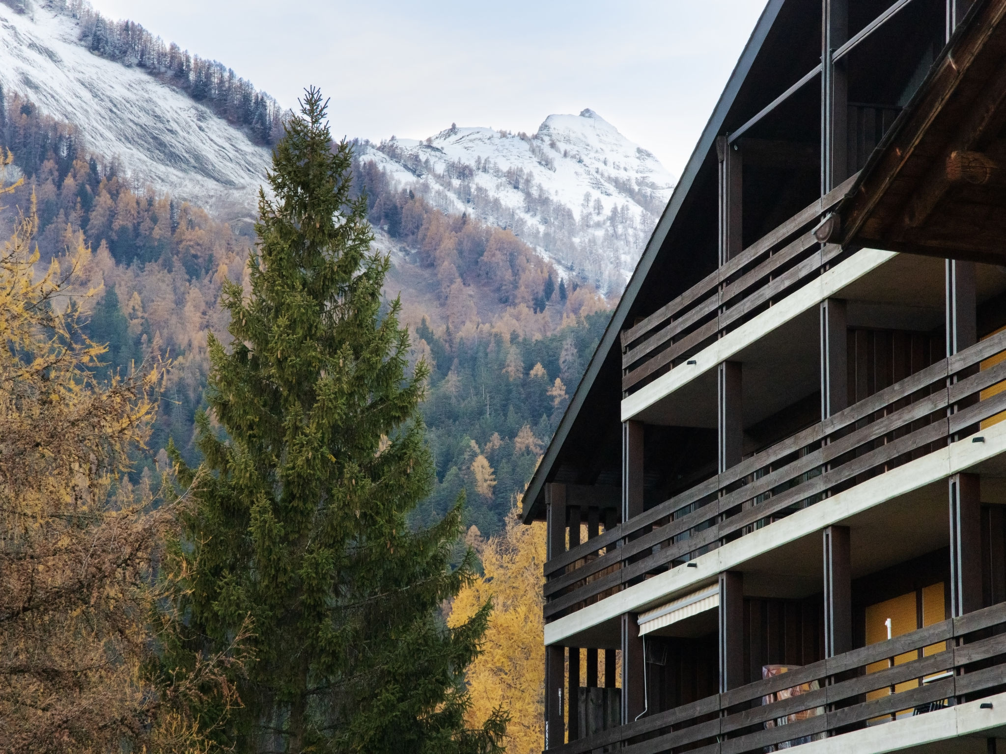 Centaure B CO 1-Draußen