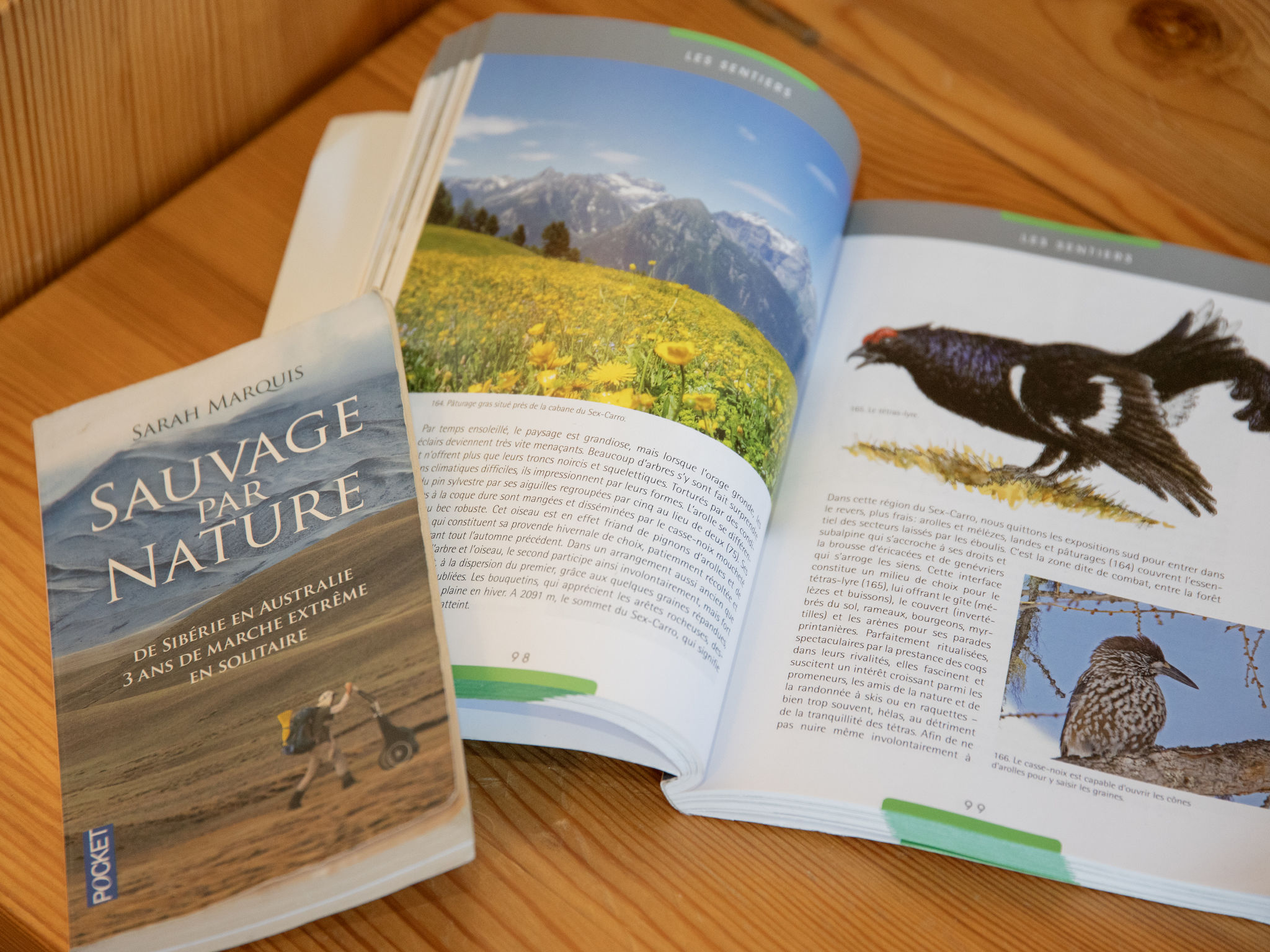 Photo of Centaure B RI 1