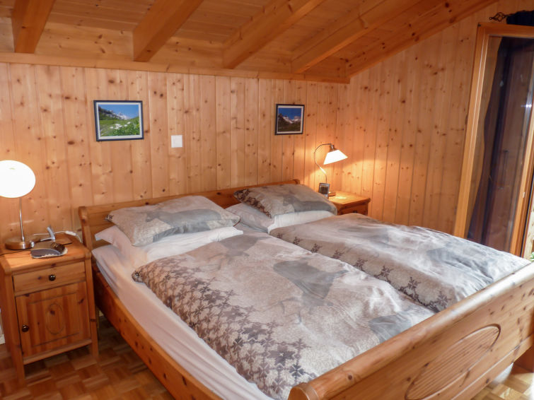 Photo of Ecureuil noir