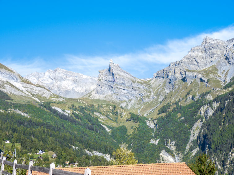 Photo of Ecureuil noir