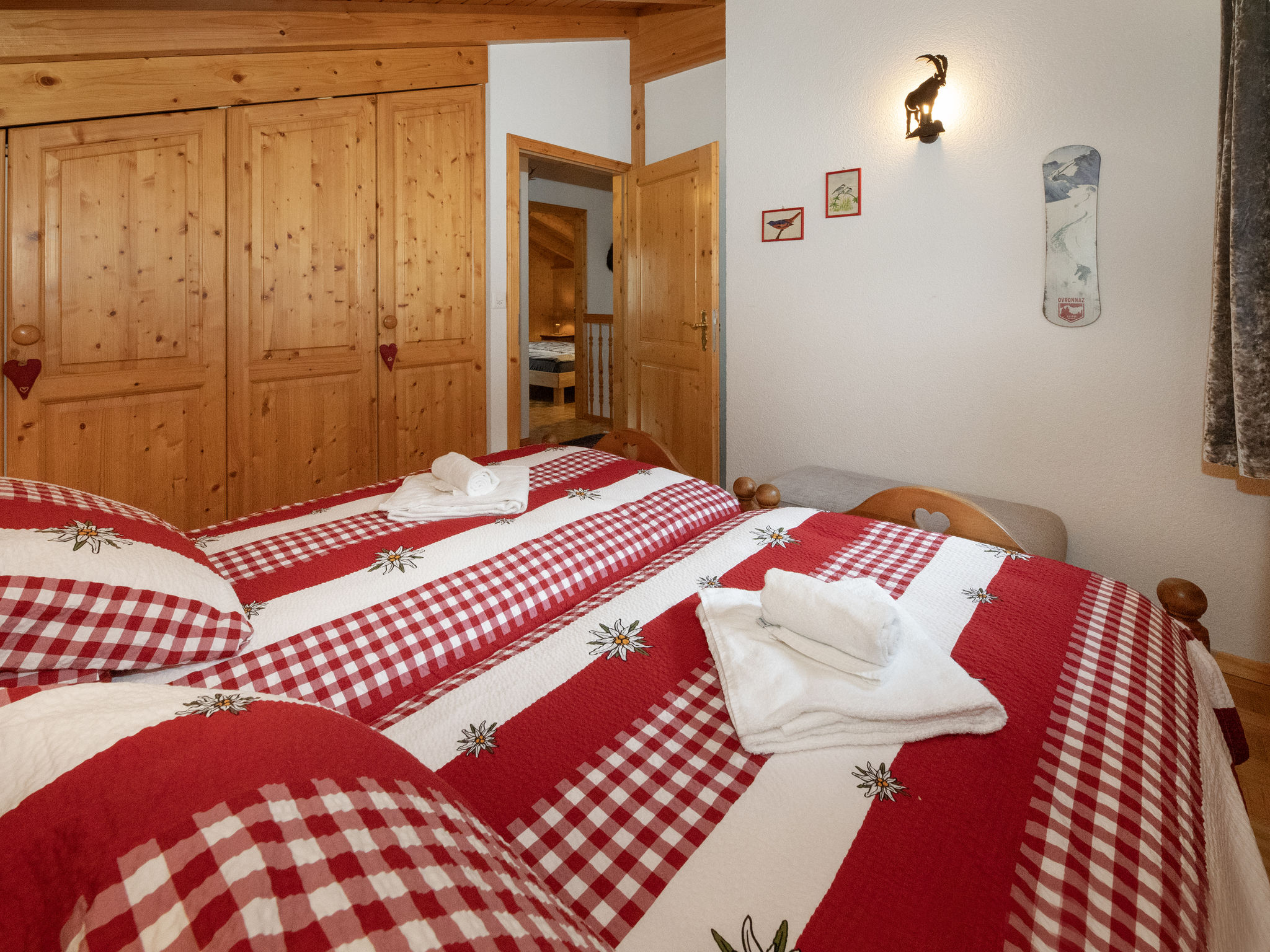 Photo of Ecureuil noir