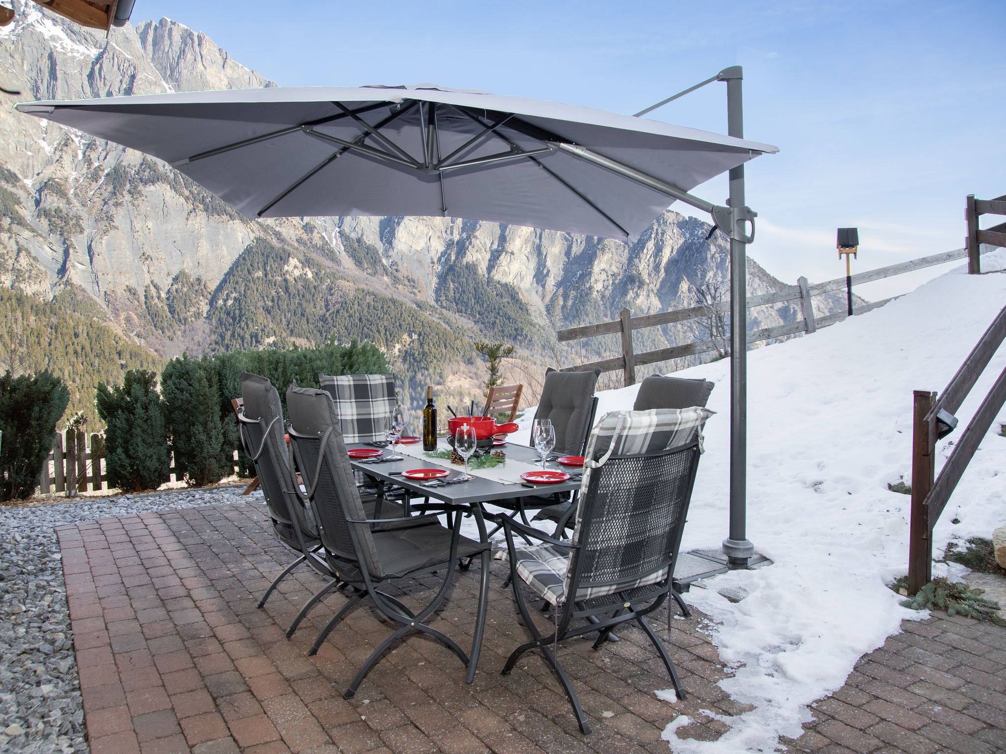 Photo of Ecureuil noir