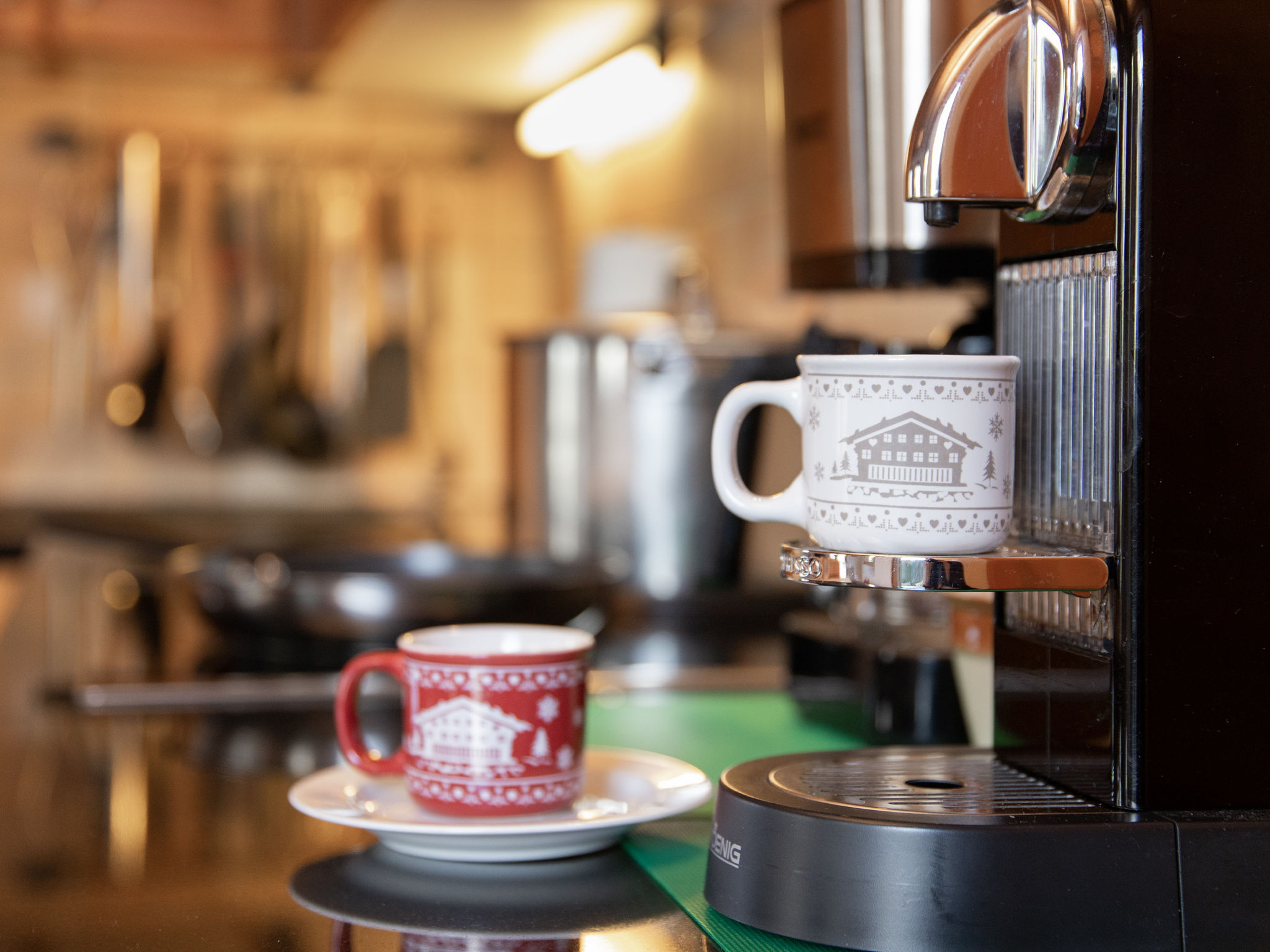 Photo of Ecureuil noir