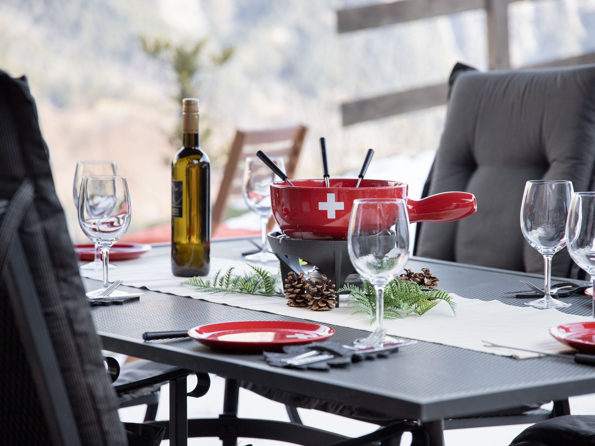 Photo of Ecureuil noir