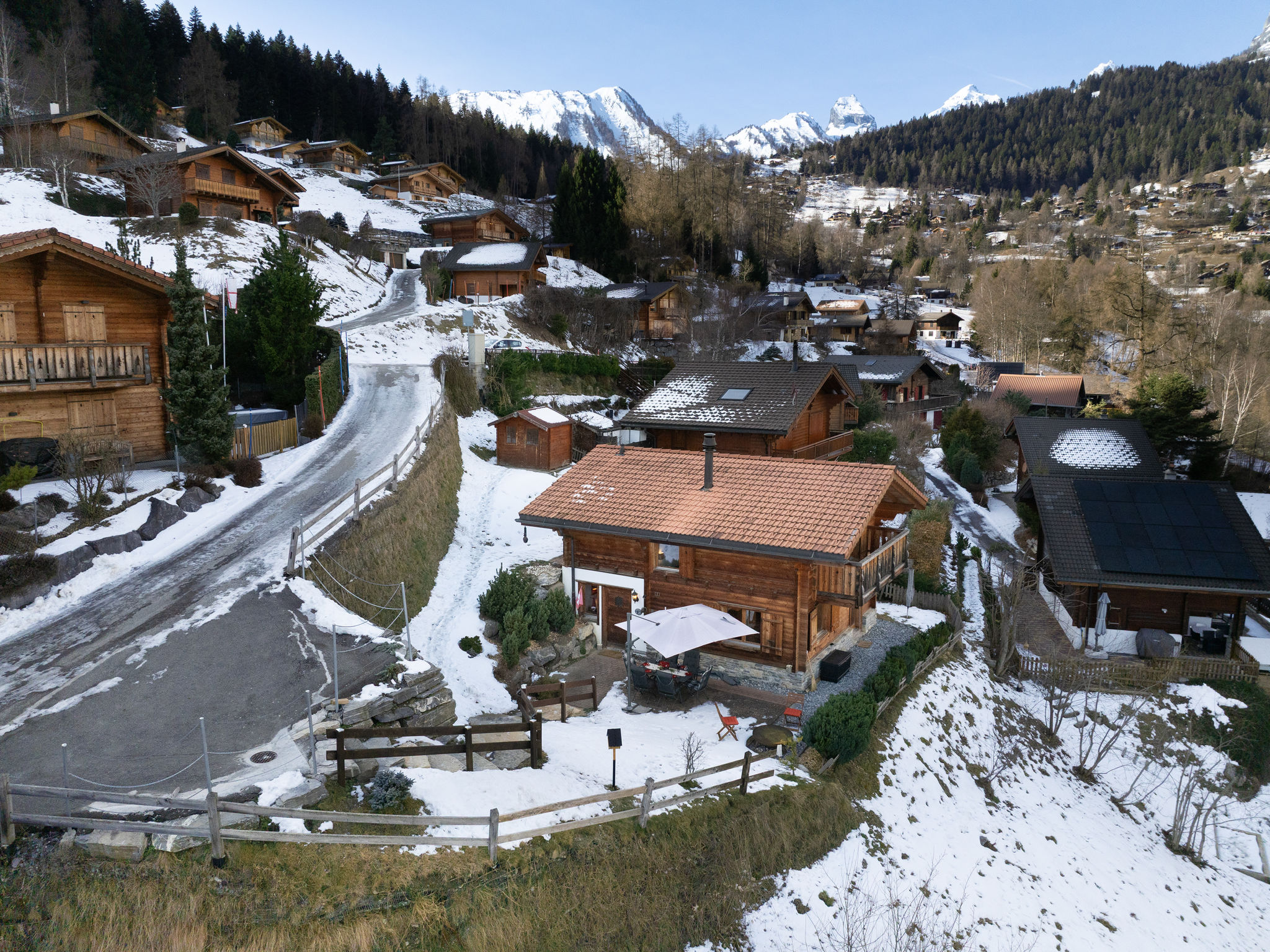 Photo of Ecureuil noir