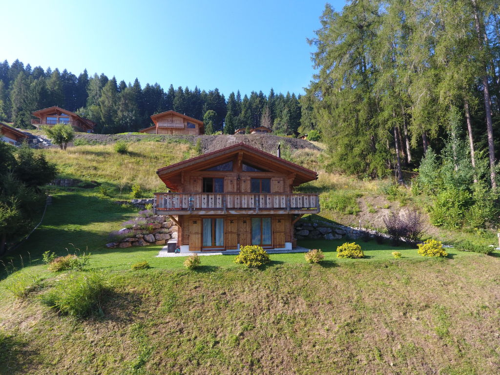Bild 22