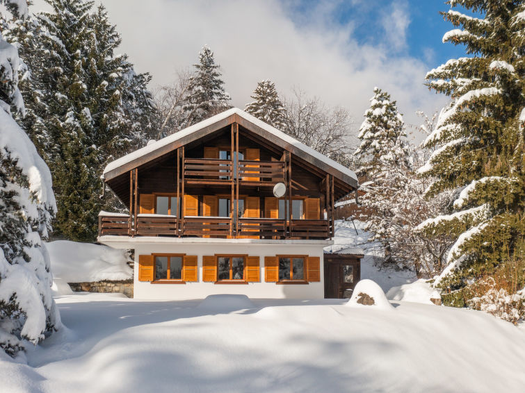 Chalet Mélanie Chalet in Ovronnaz