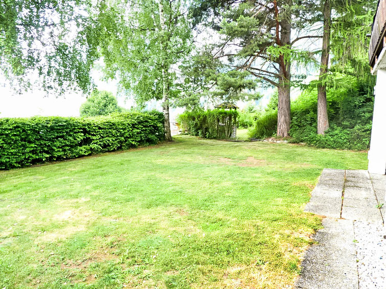 Photo of Frênes