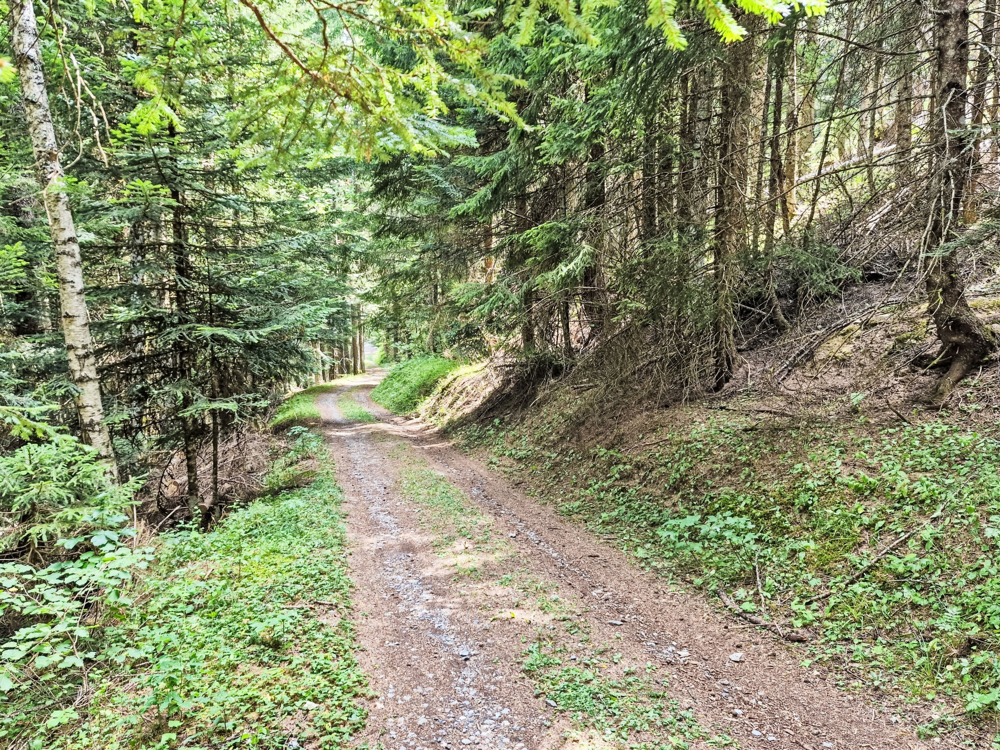 Photo of Le Mayen d'Ovronnaz