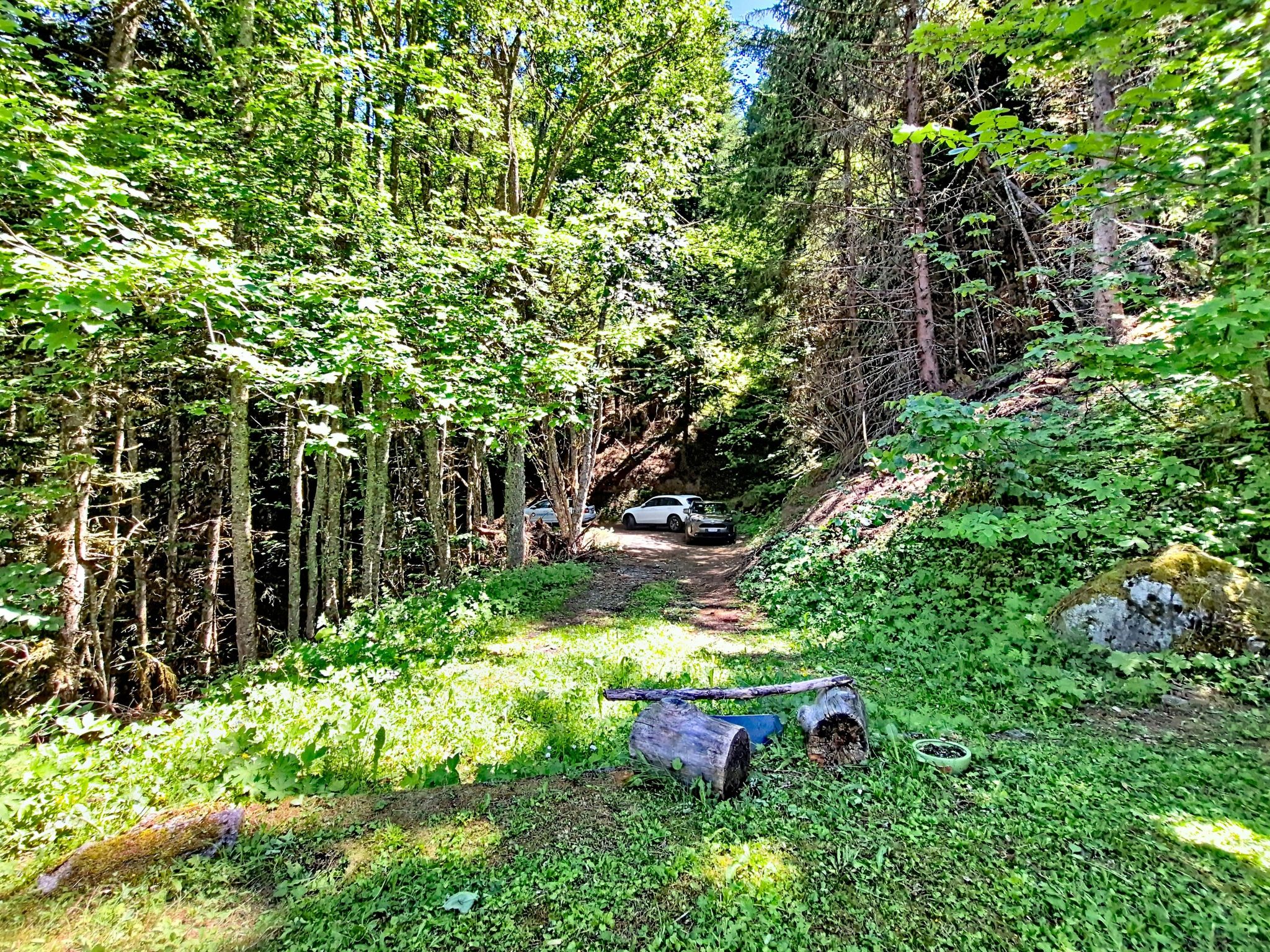 Photo of Le Mayen d'Ovronnaz