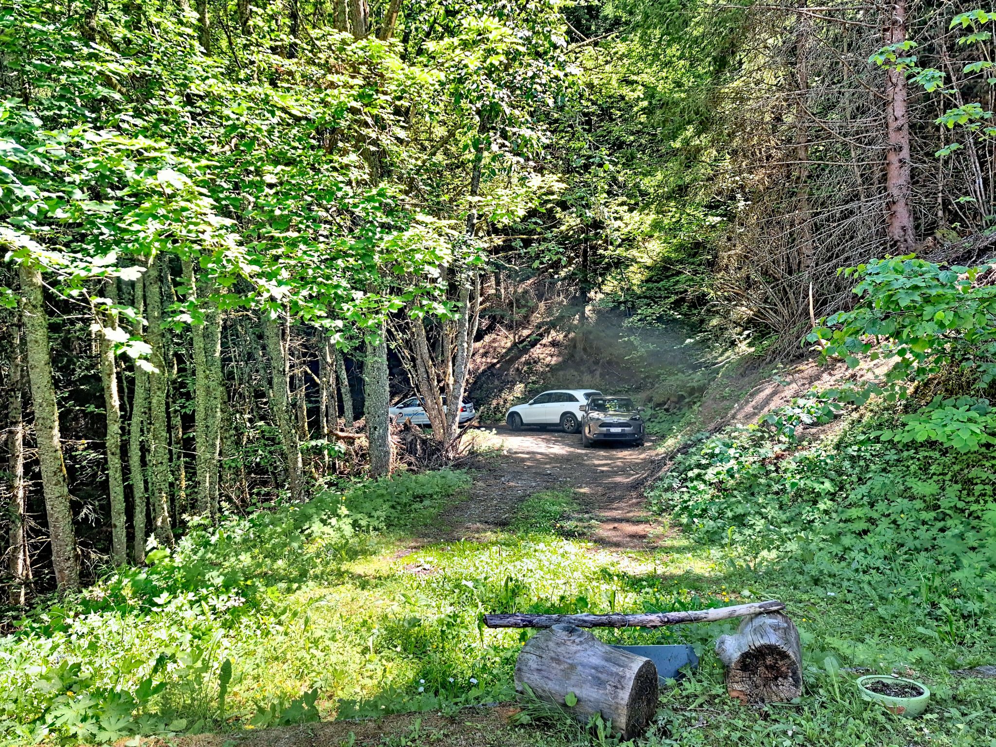 Photo of Le Mayen d'Ovronnaz