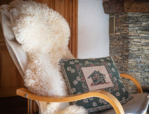 Op 900 m van de piste: Appartement Mélèze in Ovronnaz met bergzicht - thumbnail 4