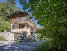 Op 900 m van de piste: Appartement Mélèze in Ovronnaz met bergzicht - thumbnail 1