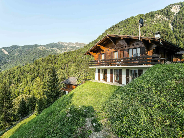 Шале в горах швейцарии фото