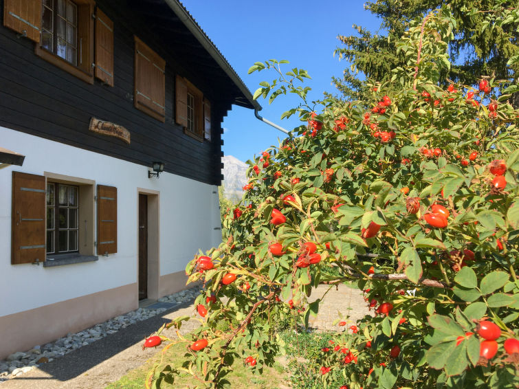 Photo of Chalet Chante Neige