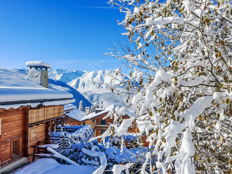 Photo of Boule de Neige