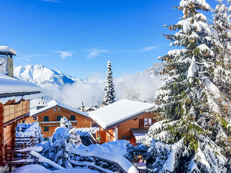 Photo of Boule de Neige