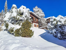 Vacation home Brisca