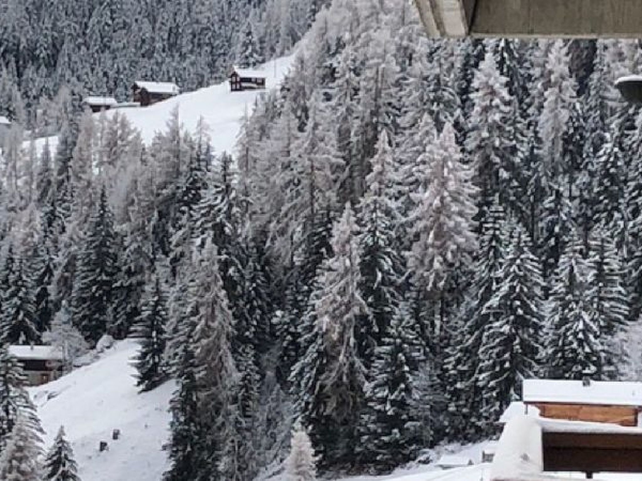 Le Rêve de nos Petites Marmottes - Draußen