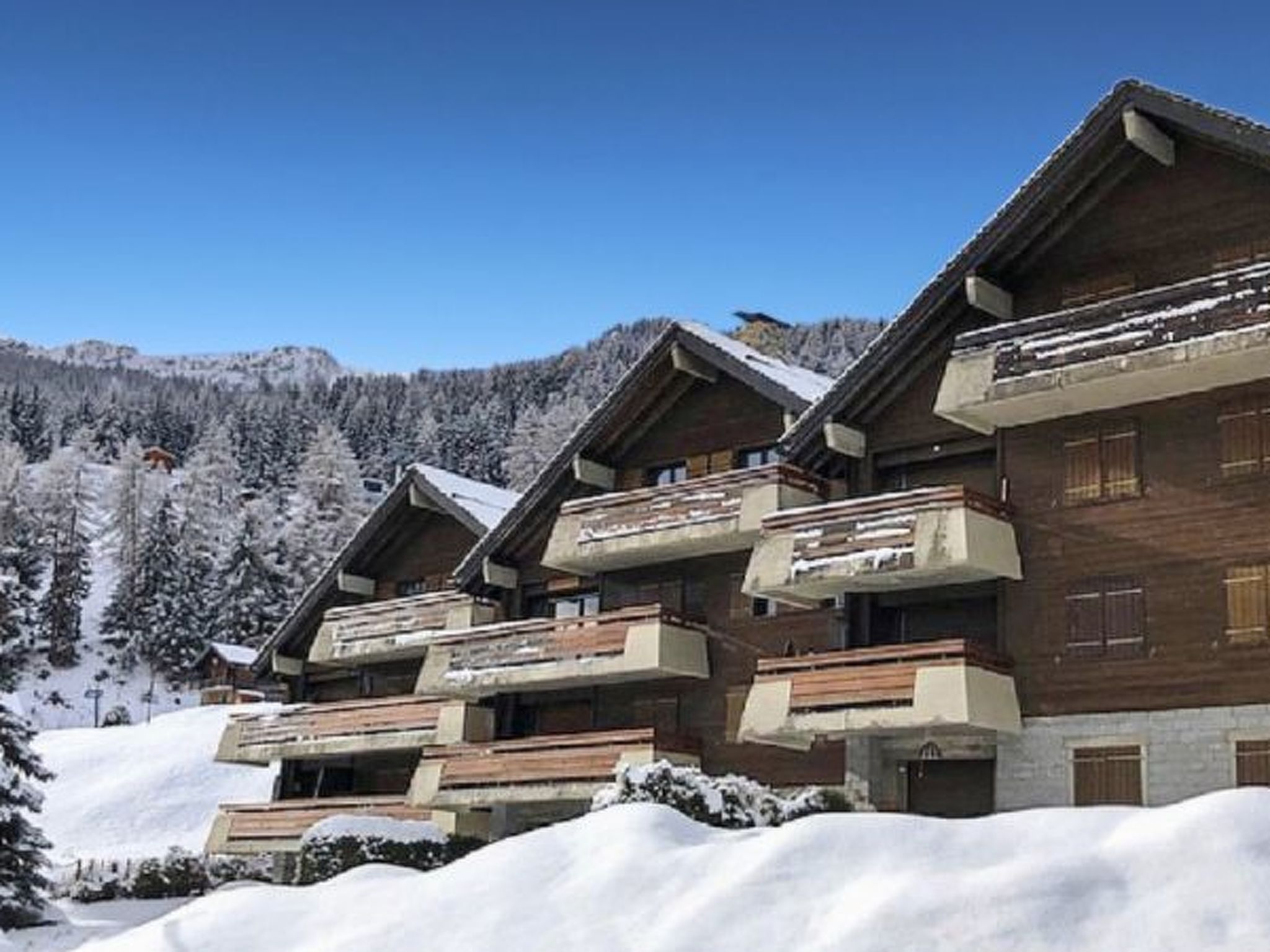 Le Rêve de nos Petites Marmottes - Draußen