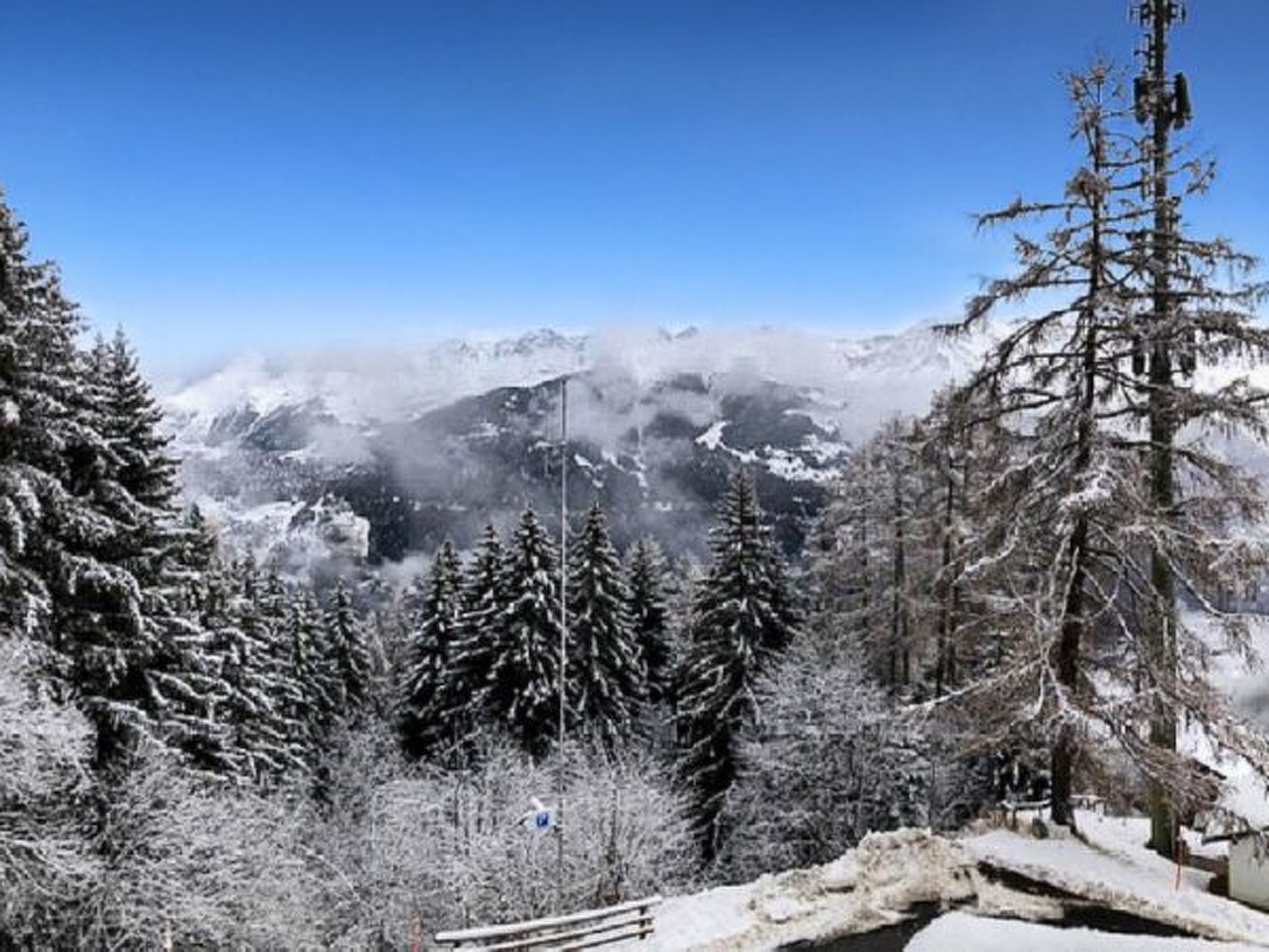 Le Rêve de nos Petites Marmottes - Draußen