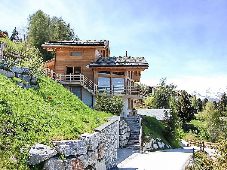 Chalet Aquarius Chalet in Nendaz