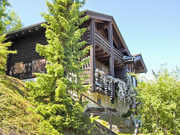 Valet de Coeur Chalet in Nendaz