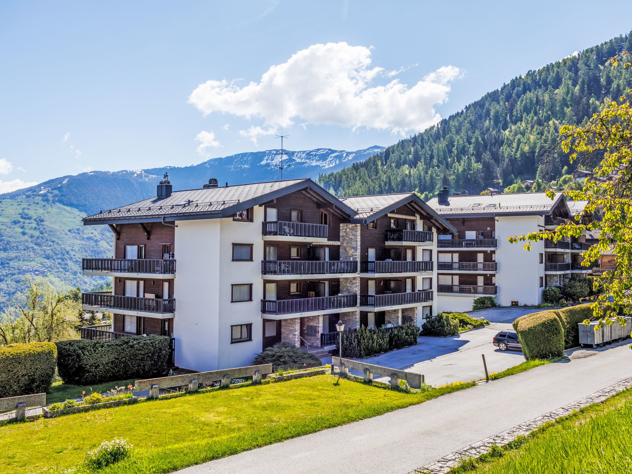 Arnica 16 Apartment in Nendaz