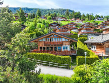Rêves des Alpes
