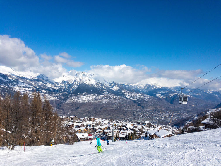 Grands Ducs 202G Apartment in Nendaz